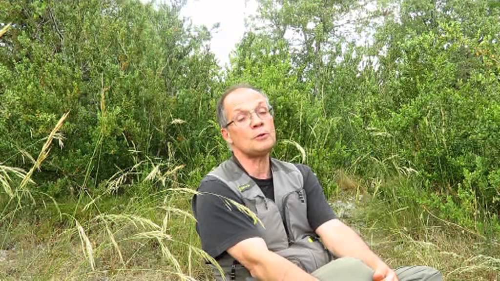 Bois de Païolive   A la rencontre du bois intégral