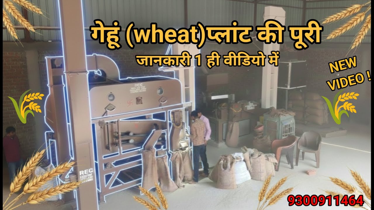 गेहूँ साफ करने बाली मशीन की पूरी जानकारी Wheat plant 2 ton capacity, wheat cleaning machine 