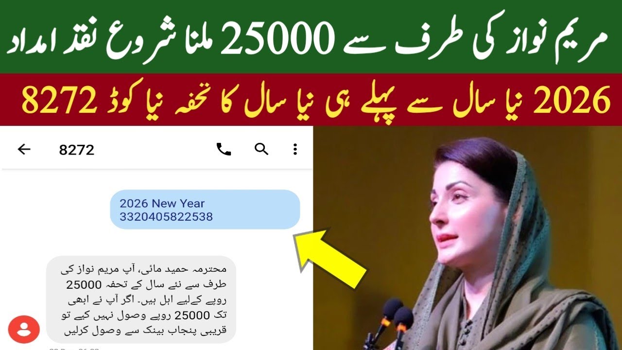8171 Maryam Nawaz program 25000 online apply 2026 | Maryam Nawaz program online Registration start
