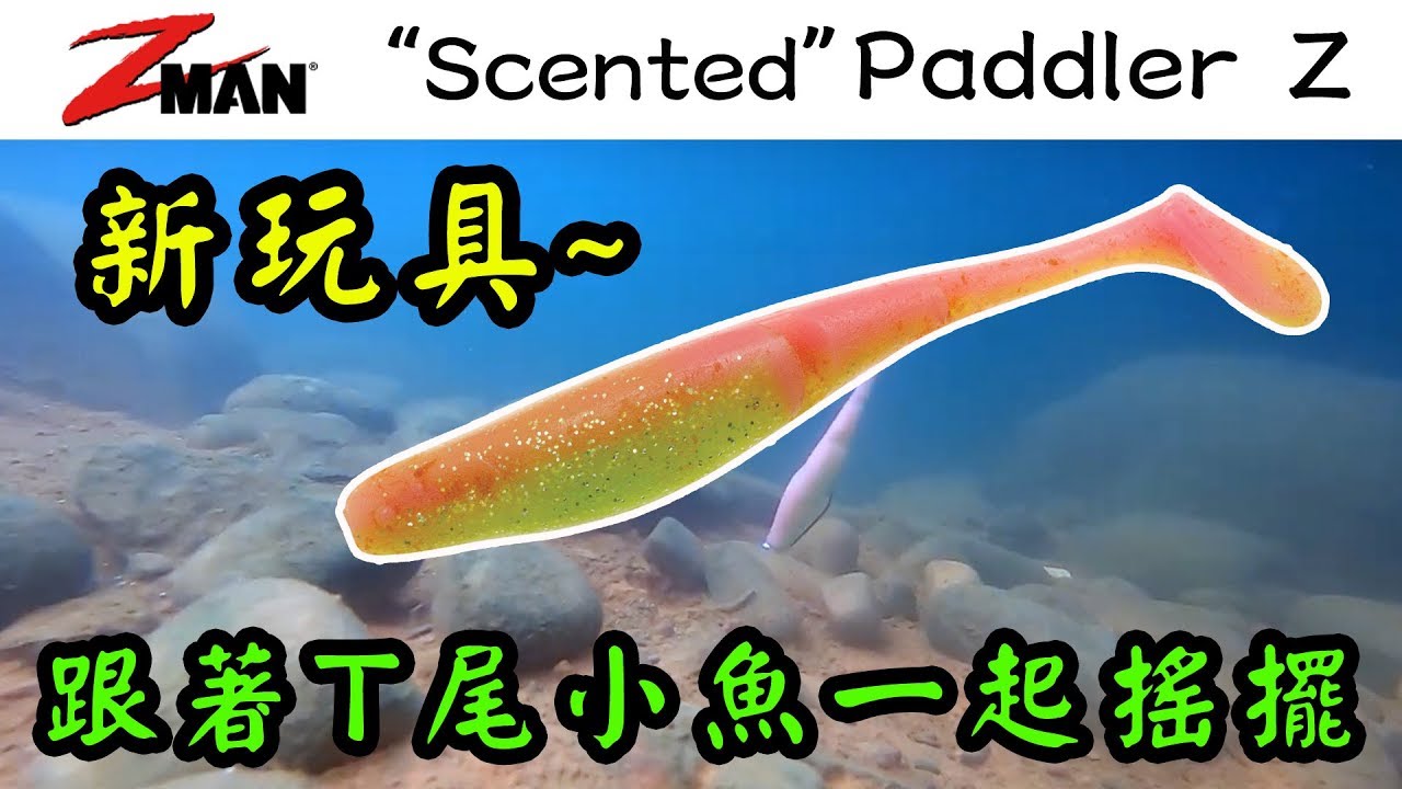 ZMAN T尾多節魚介紹與實戰【路亞/鱸魚/釣魚】【SCENTED PADDLERZ】【路亞擬餌】