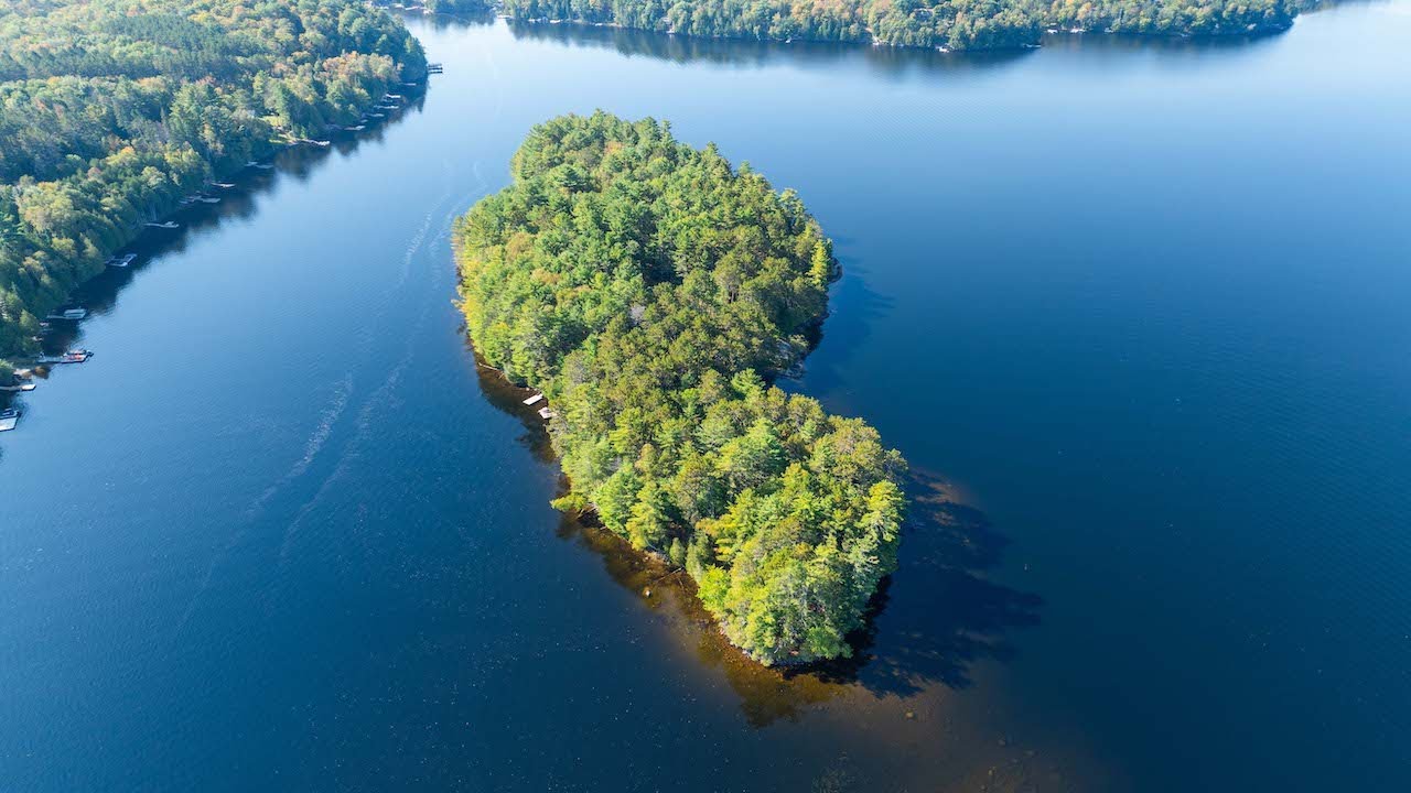 Brown Island, Soyers Lake