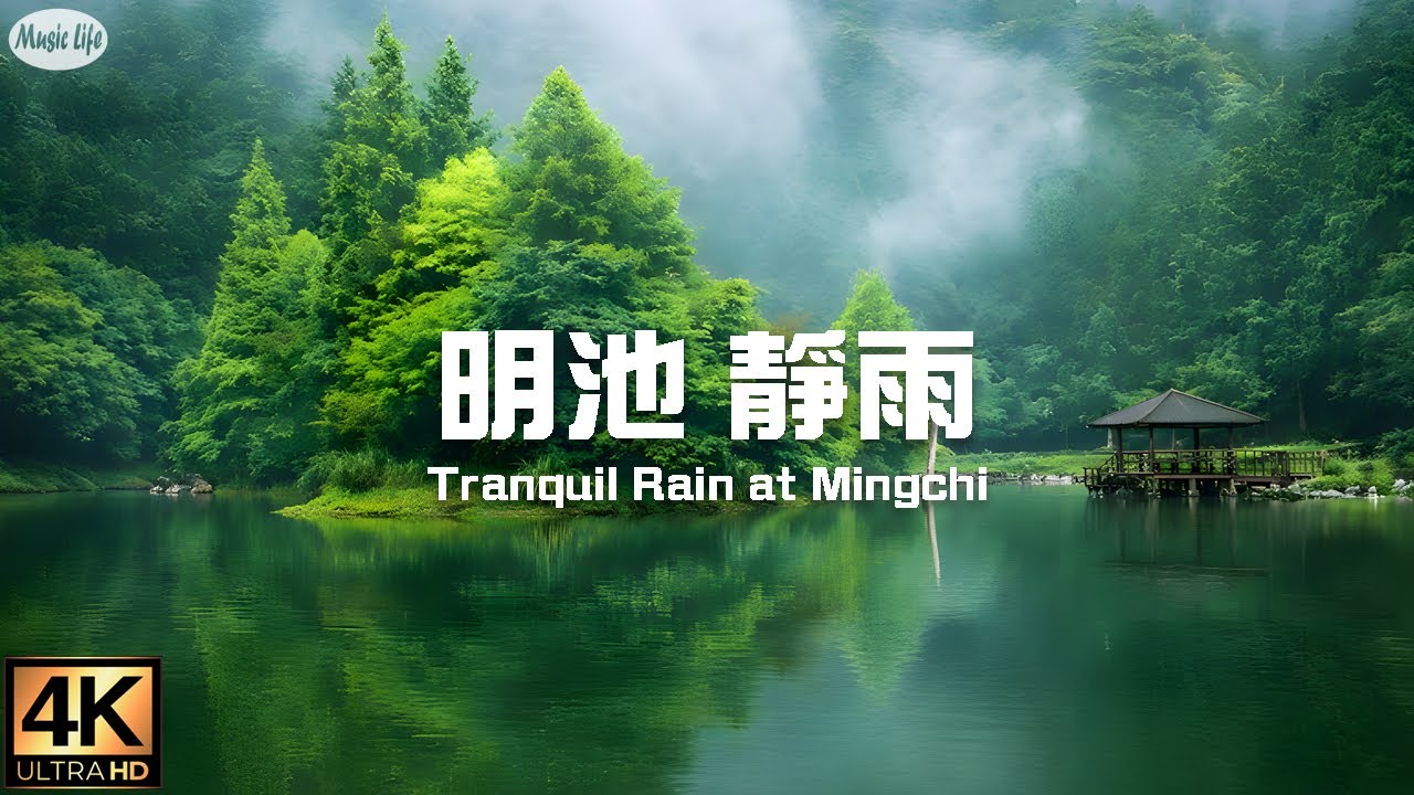 森林療癒系10 🌳北橫明珠 走入雨霧 明池漫遊 聆聽雨聲 沉澱思緒 療癒身心的一場輕聲細語  現場環境音與抒情鋼琴曲 空拍北橫翠綠溪谷 Relaxing Music & Rain Sounds