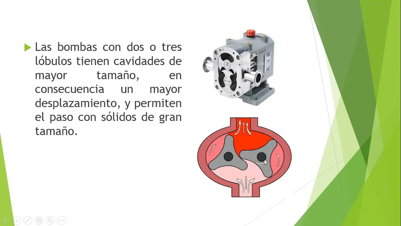 Presentación Bomba De Lóbulos