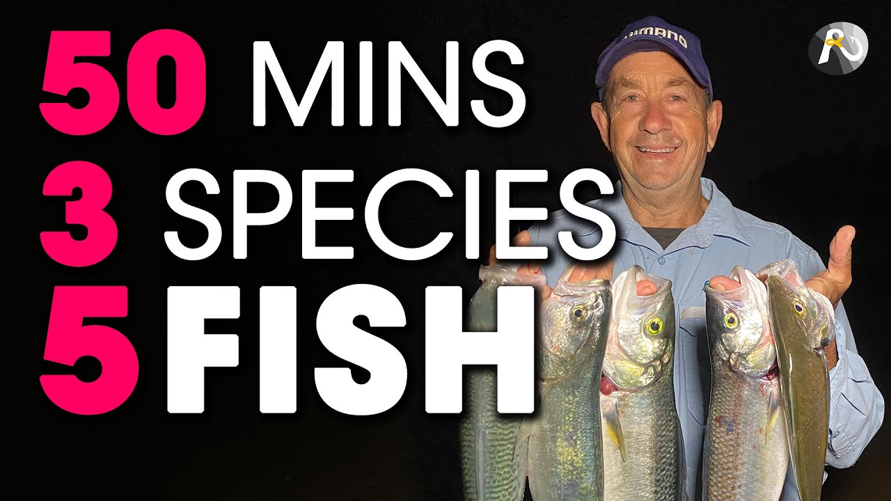 50 Mins, 5 Fish, 3 Species: My QUICK Beach Fishing Strategy for SUCCESS