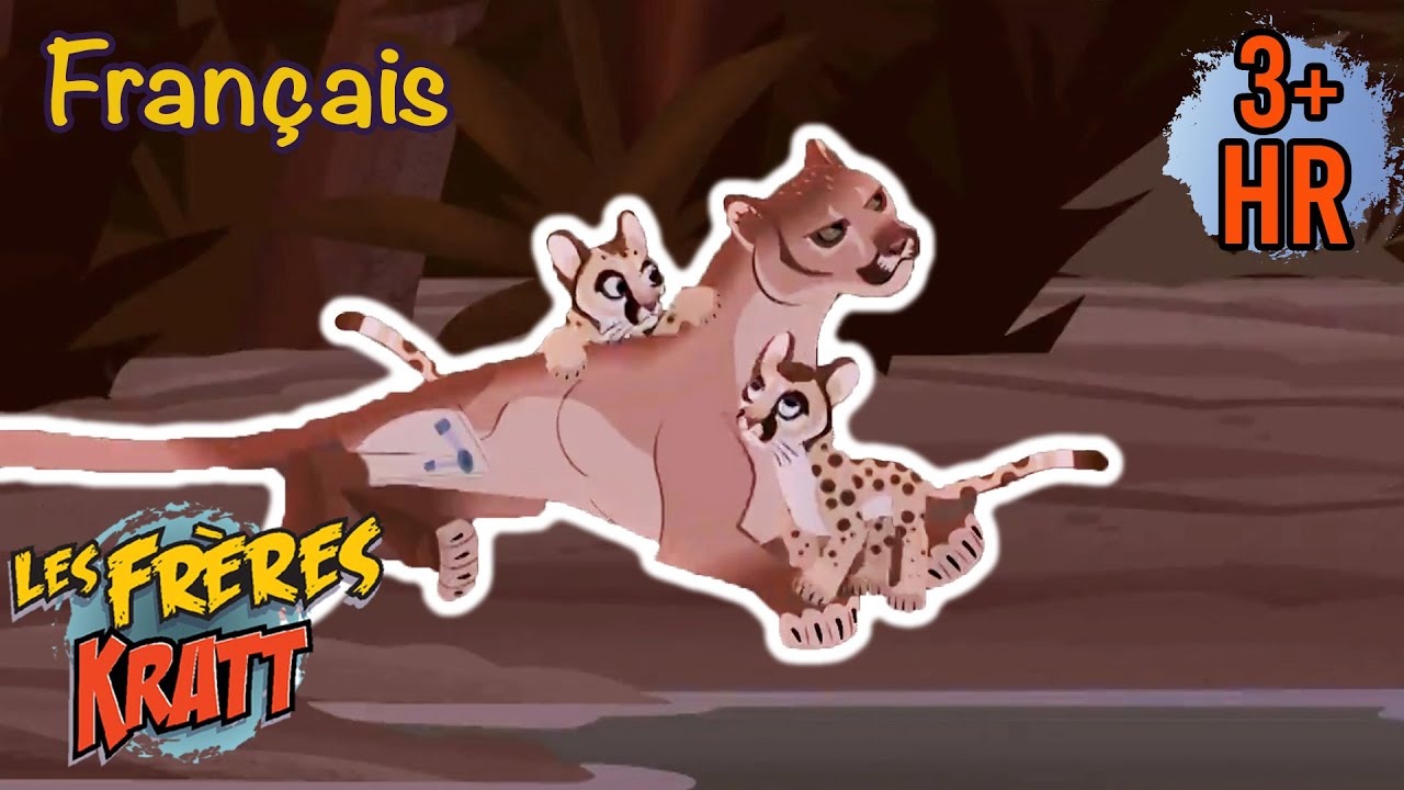 Les plus grandes mamans animaux [épisodes complets] Les Frères Kratt