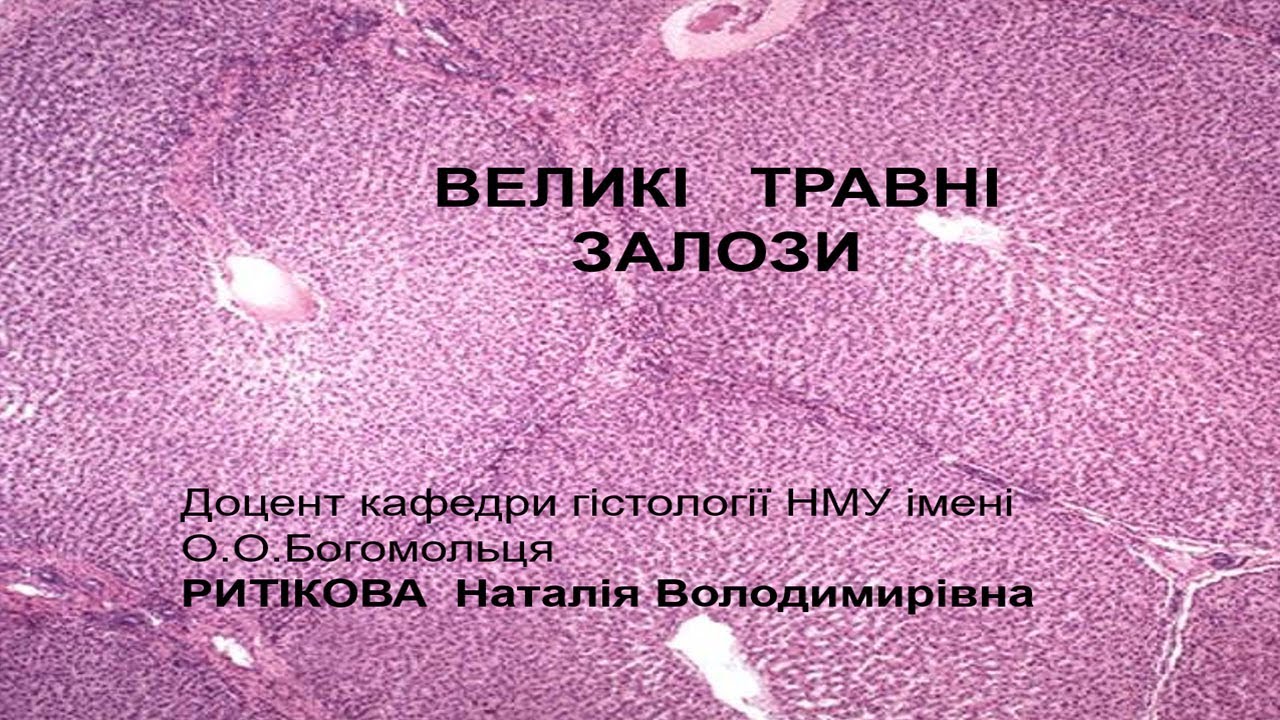 Лекція   Печінка та підшлункова залоза