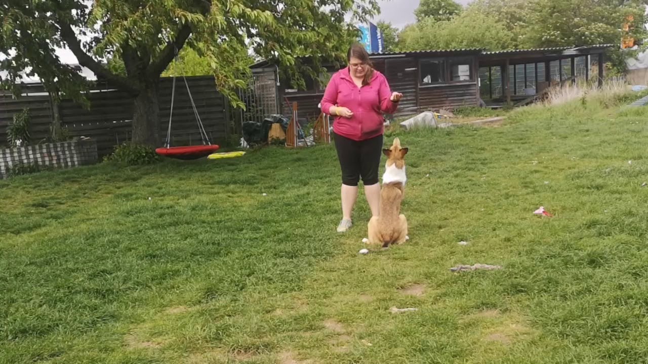 Foundation Kurs Shauna Wenzel - Himiko Distanzkontrolle