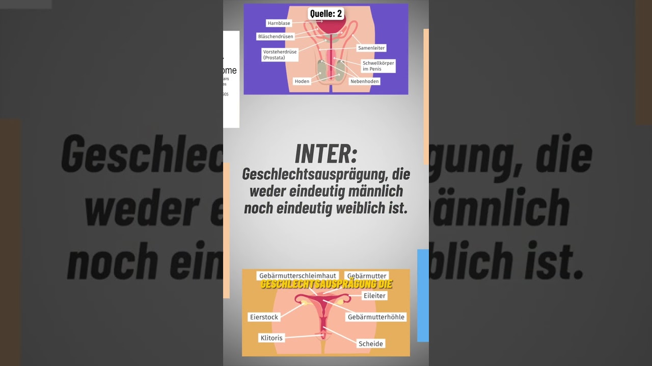 Geschlechtsidentit&auml;t 