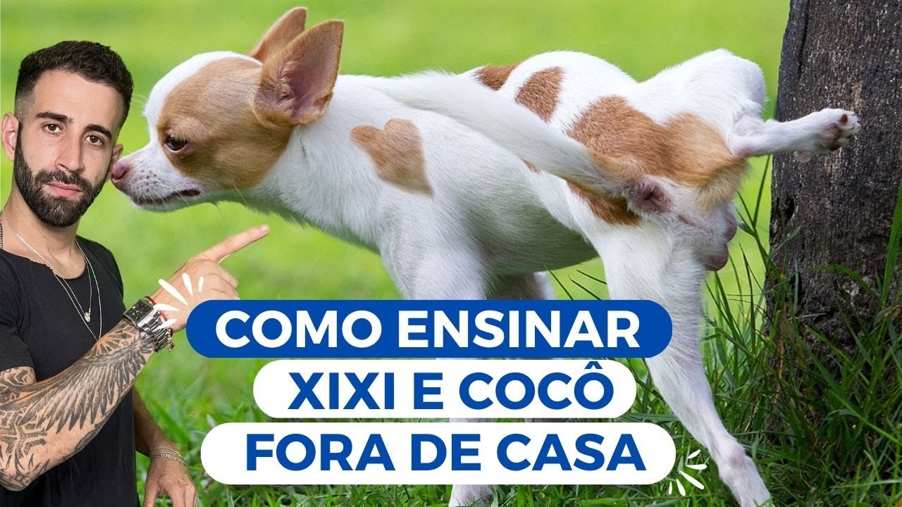 Xixi e cocô fora de casa