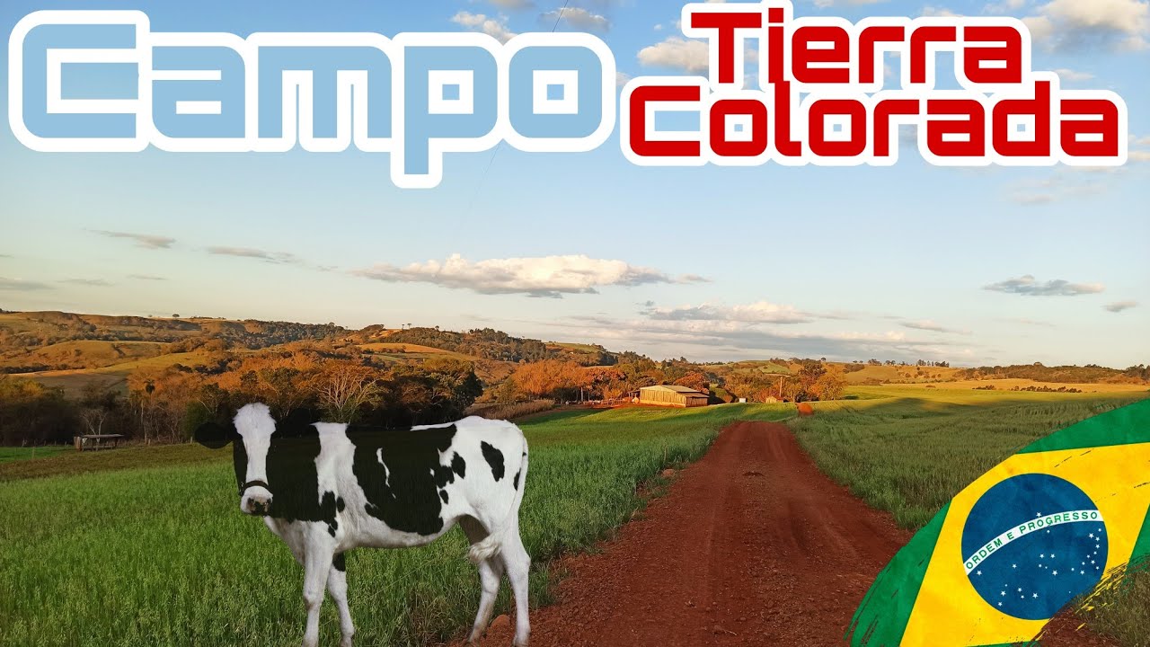 TIERRA COLORADA🌄, un dia en el campo en Brasil🇧🇷 con un triste ACIDENTE😓 en la ruta