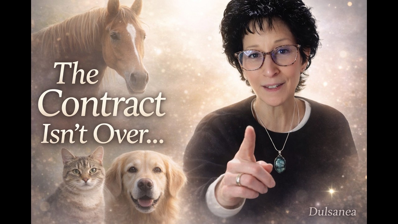 Your Pet's Soul Contract Doesn't End When They Die