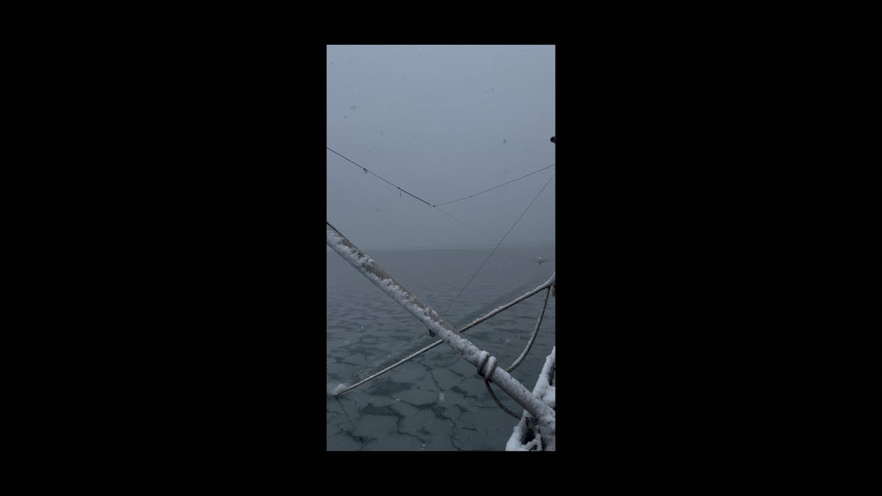 GLACIER SHARK  is live! got one