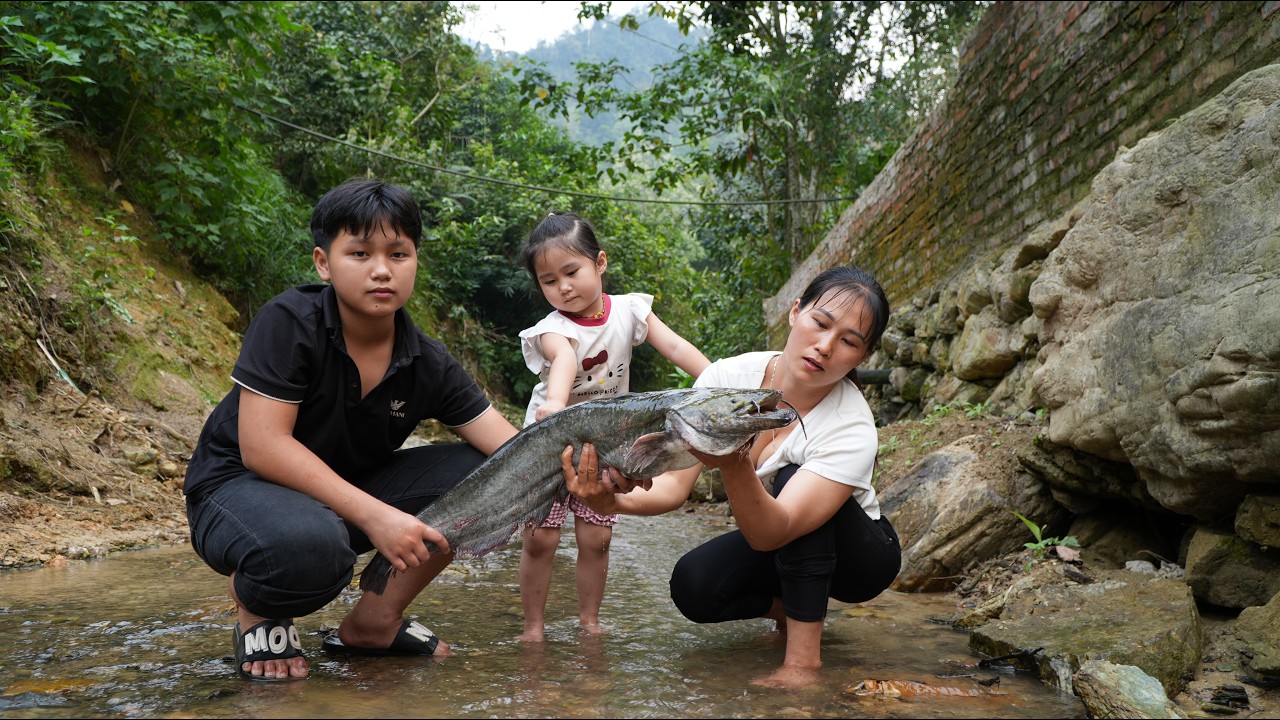 Harvesting giant catfish to make incredibly delicious charcoal-grilled catfish - L&yacute; Thị Nhim