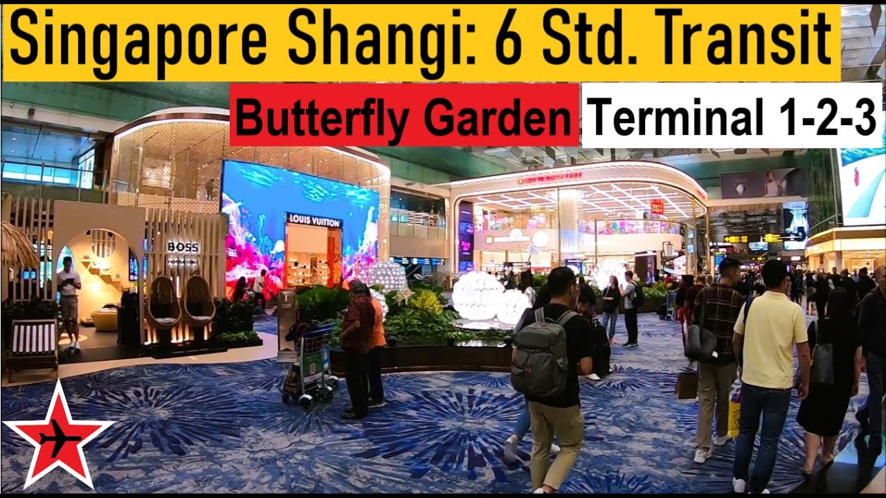 6 Stunden Transitaufenthalt - was tun im Airport Singapore Changi ? | Transit Terminal 1-2-3