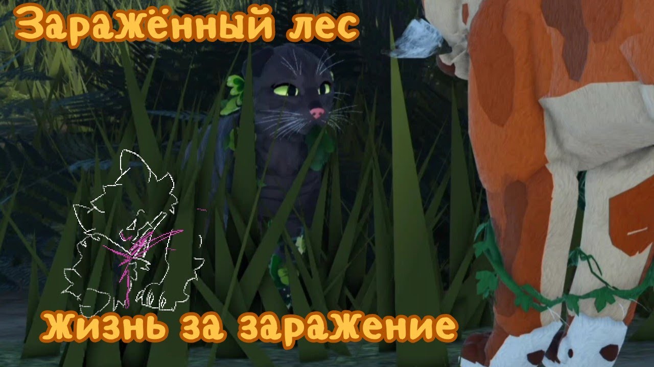 3 серия 