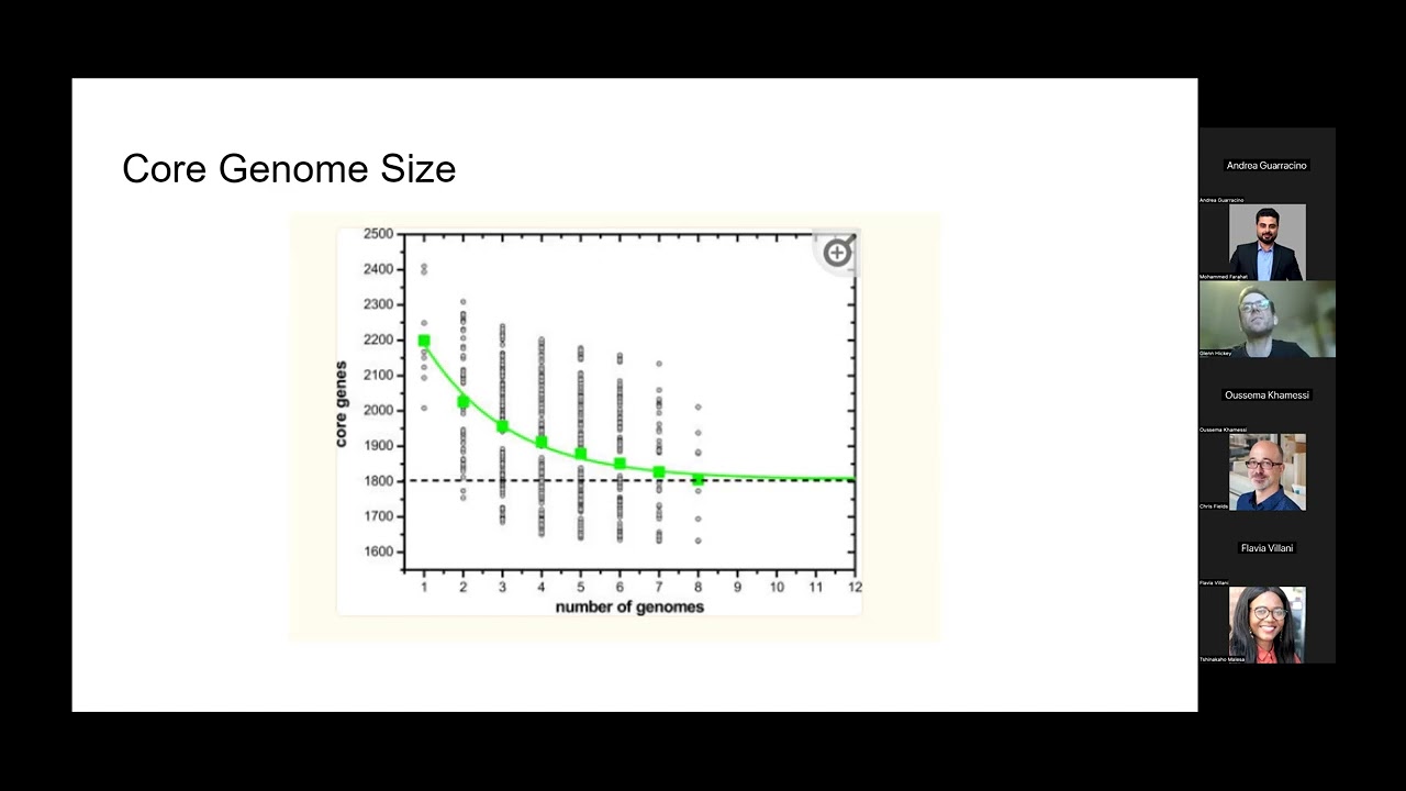 Pangenome graph construction from genome alignments with Minigraph-Cactus