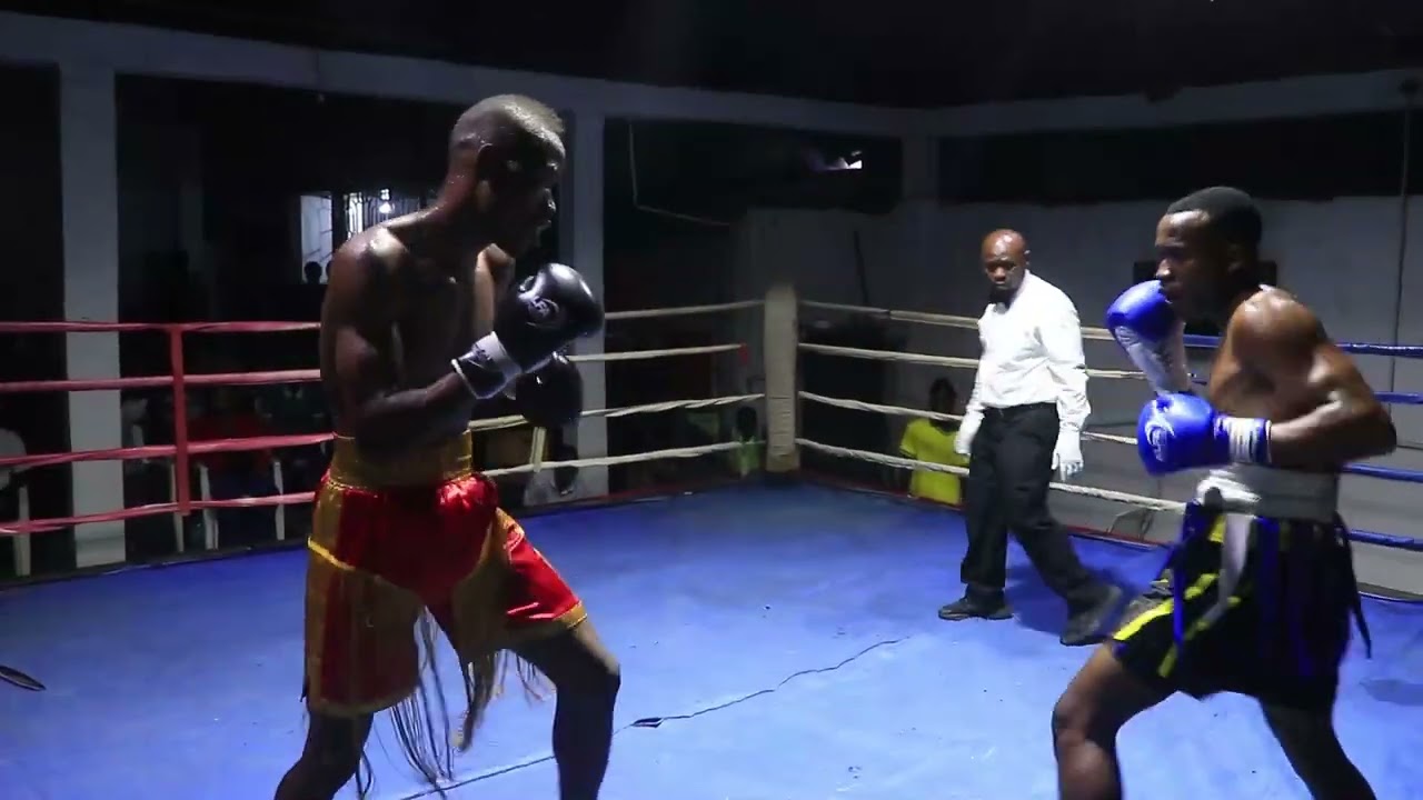 fight7