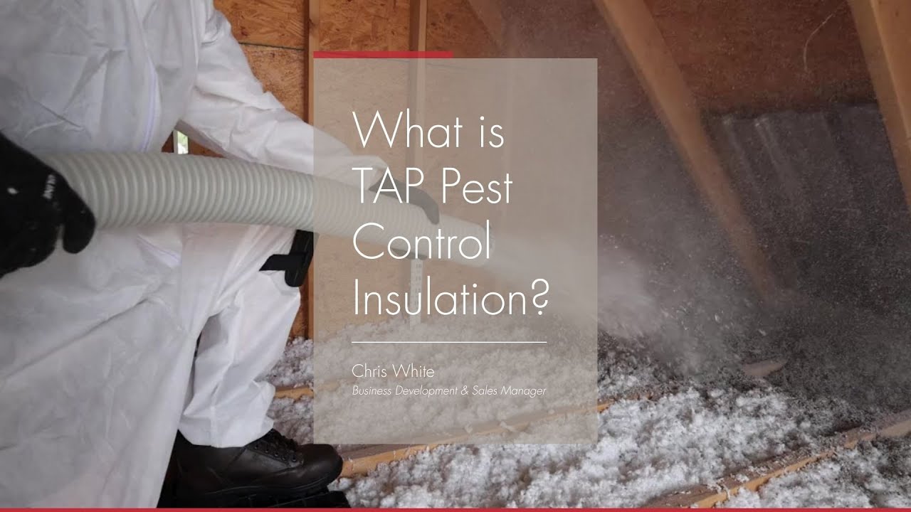 What is TAP Pest Control Insulation?