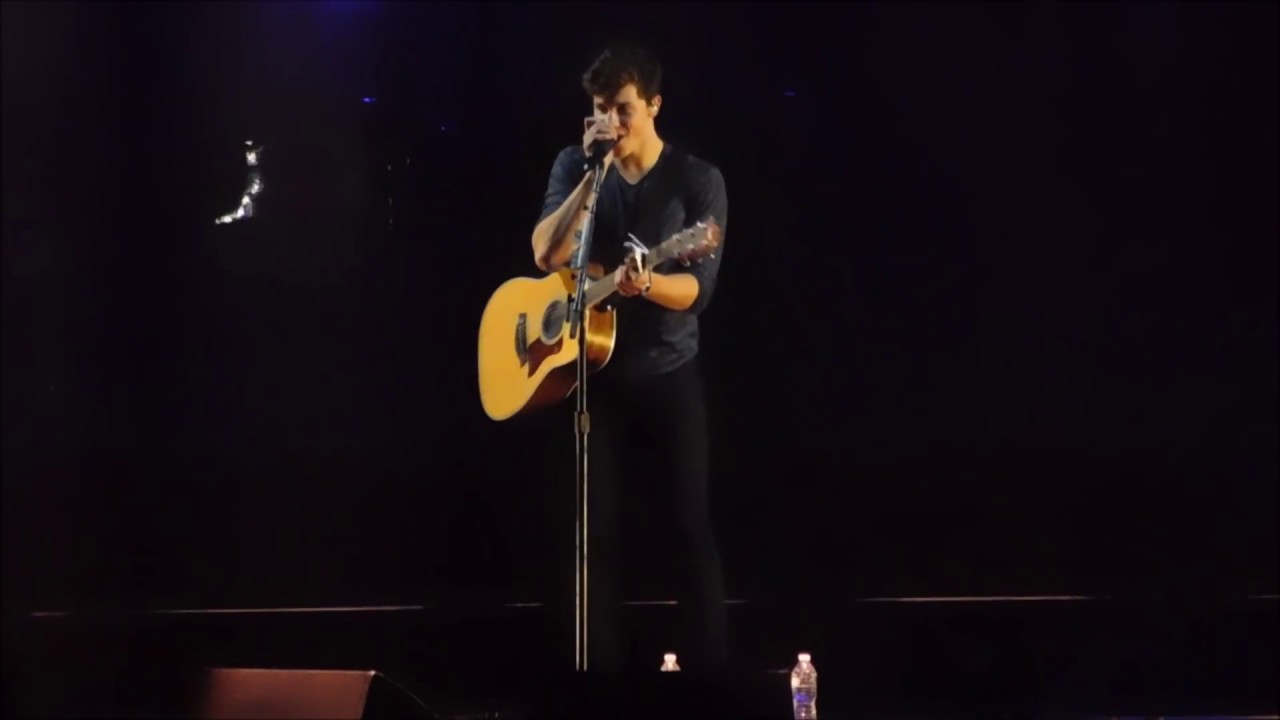 Shawn Mendes - Handwritten Medley (Live at Madison Square Garden)