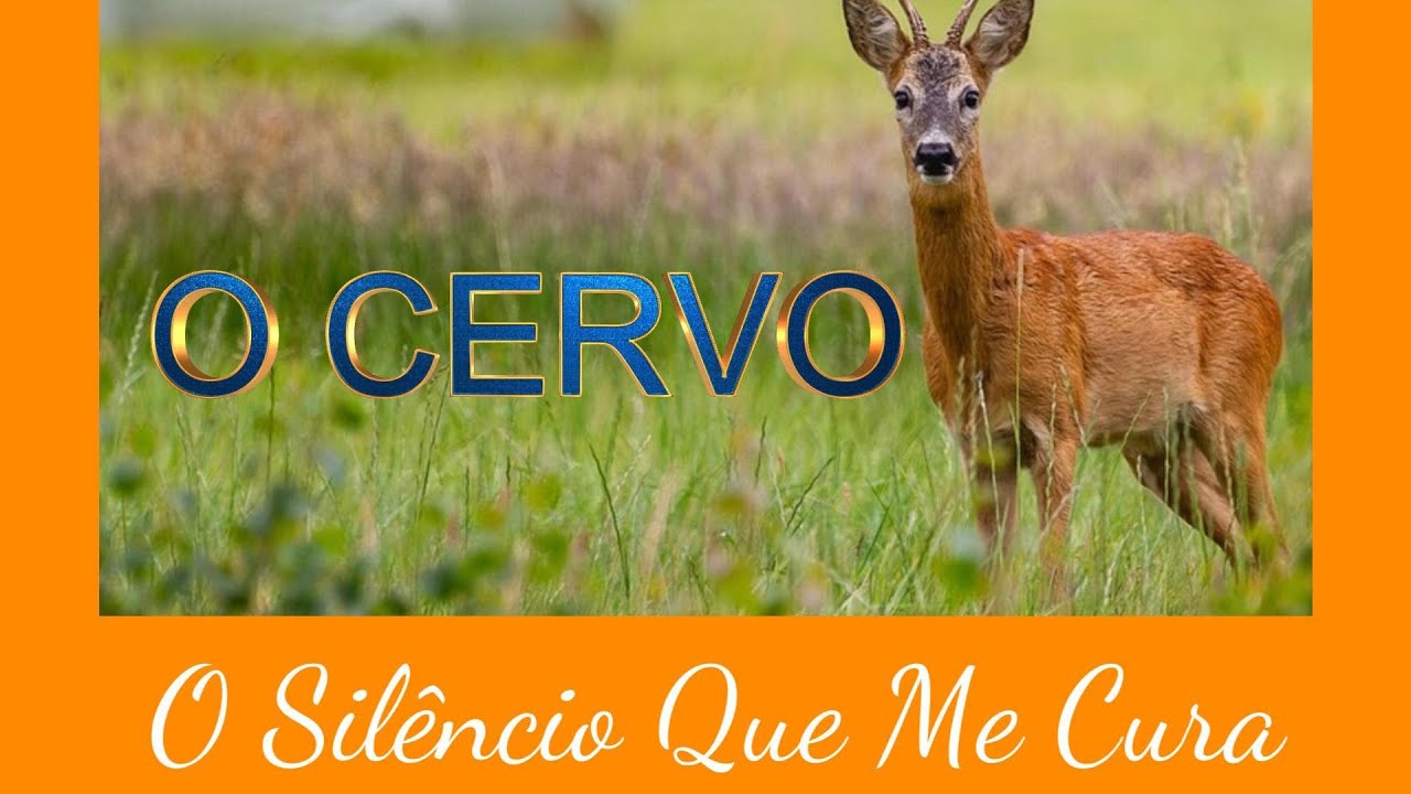 O SILENCIO QUE ME CURA 