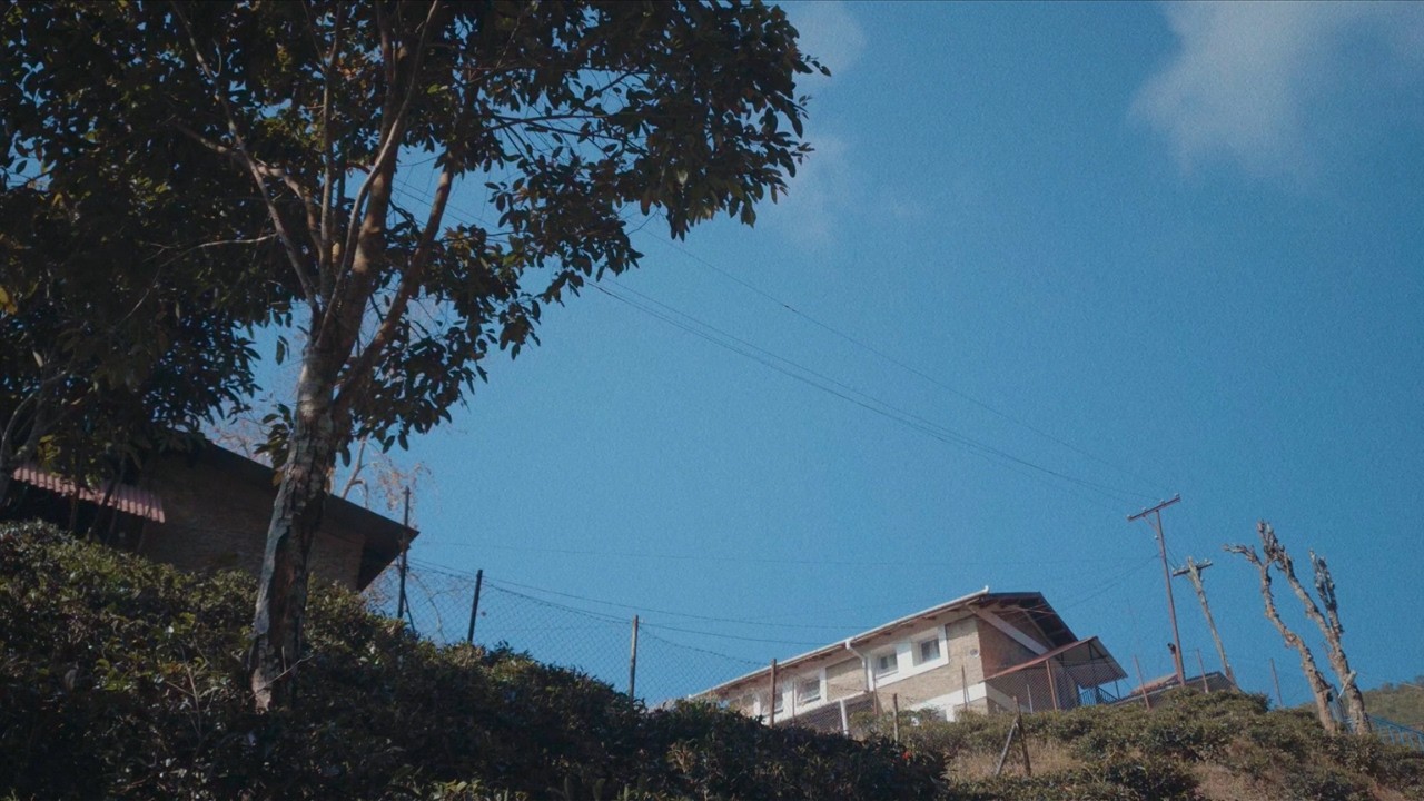 Why mcpro24fps Is the Best App for Nostalgic Cinematic Videos on Android