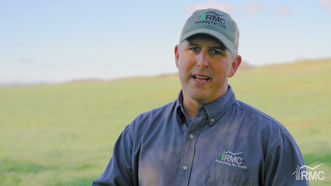 Principles Over Practices: The Philosophy Behind Ranching for Profit