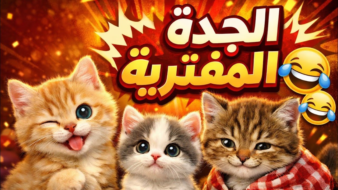 تعالوا أطمنكم علي قمر الجدة المفترية 🤣🤣🤣