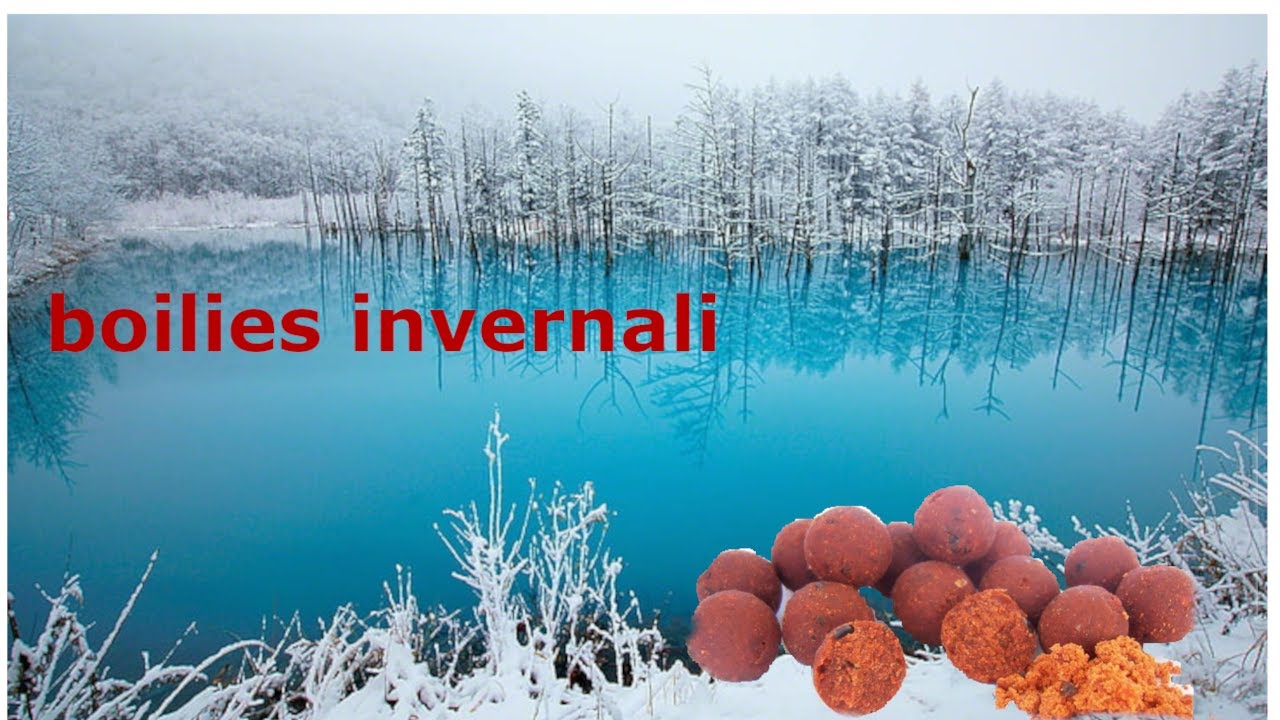 #self made #boilies invernali al pesce e speziate