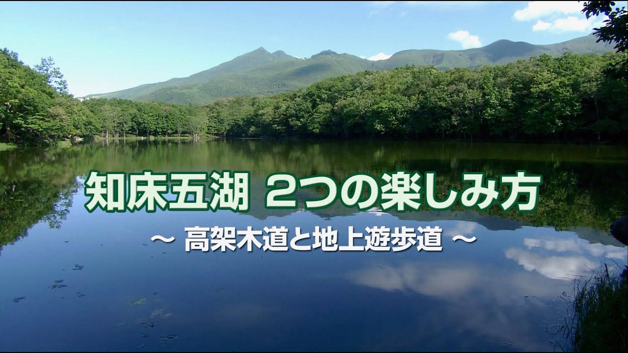 知床五湖　2つの楽しみ方 〜高架木道と地上遊歩道〜