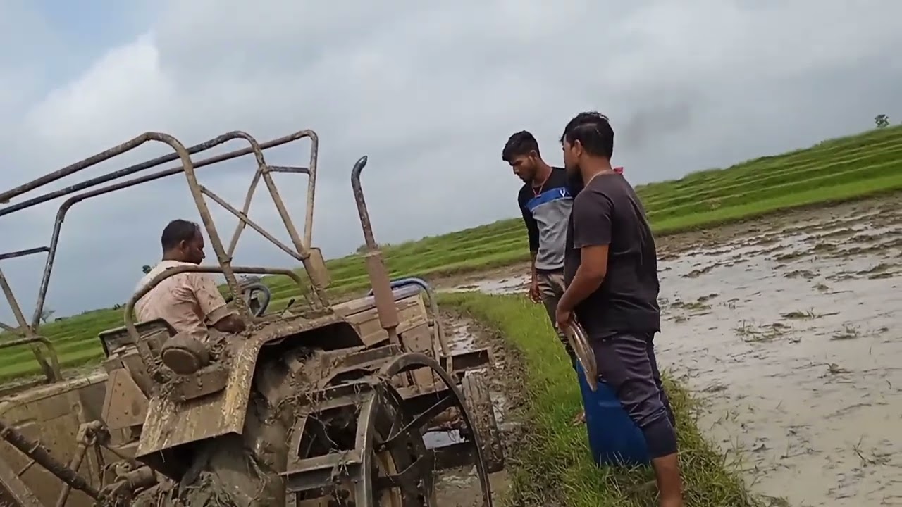 धान लगाने के लिए टेक्टर से खेत की जुताई करते किसान