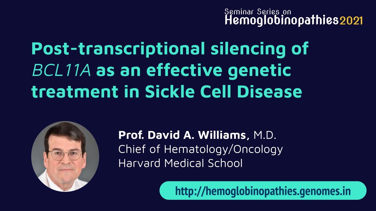 Post-transcriptional silencing of BCL11A as an effective genetic treatment in Sickle Cell Disease