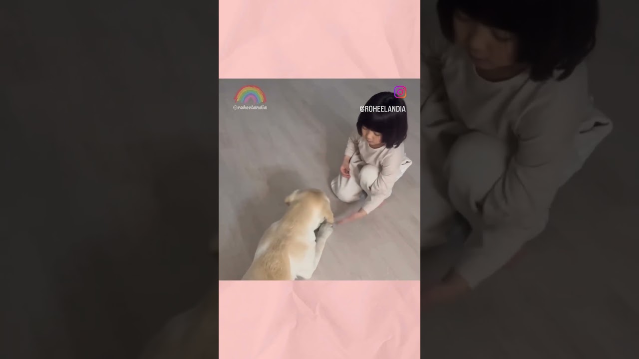 Rohee playing with her dog 🐕😍#youtubeshorts #shorts #viral #jinmiran #rohee