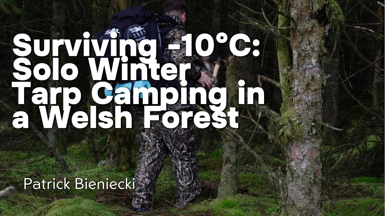 Surviving -10°C: Solo Winter Tarp Camping in a Welsh Forest