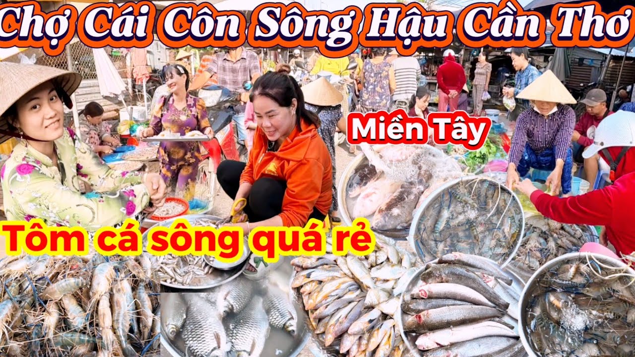 Chợ Quê Cái Côn Sông Hậu Cần Thơ, Tôm cá sông tươi, Giá rẻ bất ngờ ở miền tây 