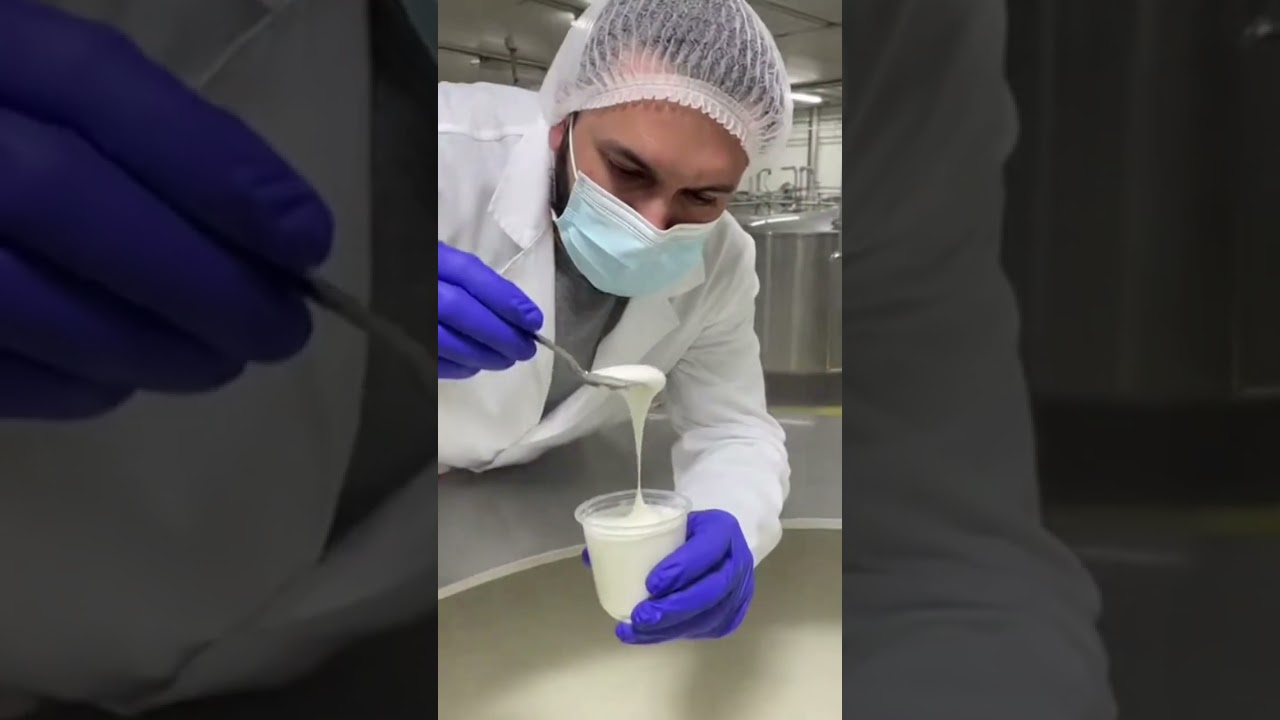 How Yogurt Cups Are Made | Food Factory