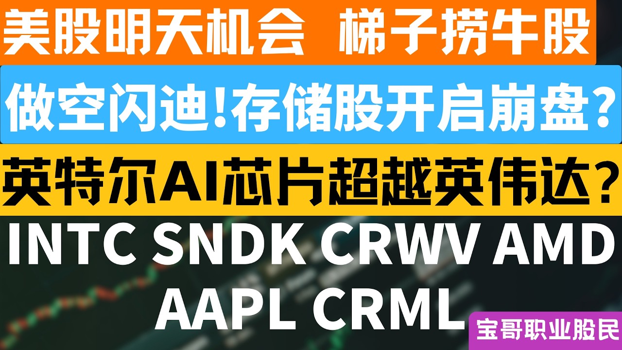 做空闪迪!存储股开启崩盘? 英特尔AI芯片超越英伟达? CRWV财报看涨到160? INTC SNDK AMD AAPL CRML！02242026 #美股 #股票 #美股分析 #投資