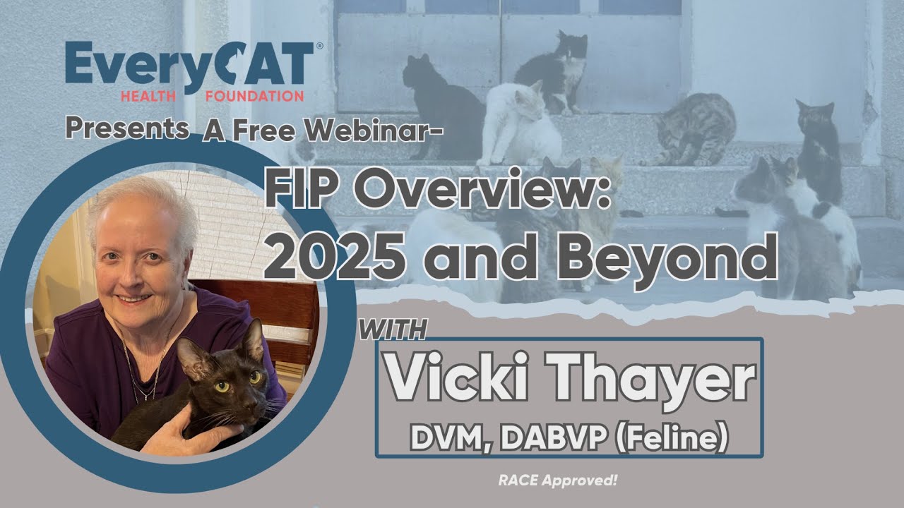 FIP Overview 2025 and Beyond