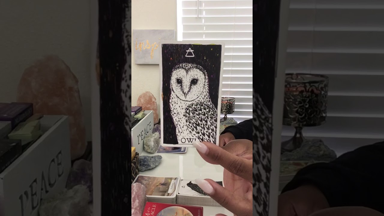 Leo | Someone Doesn’t Want You To Move On | November Love Reading