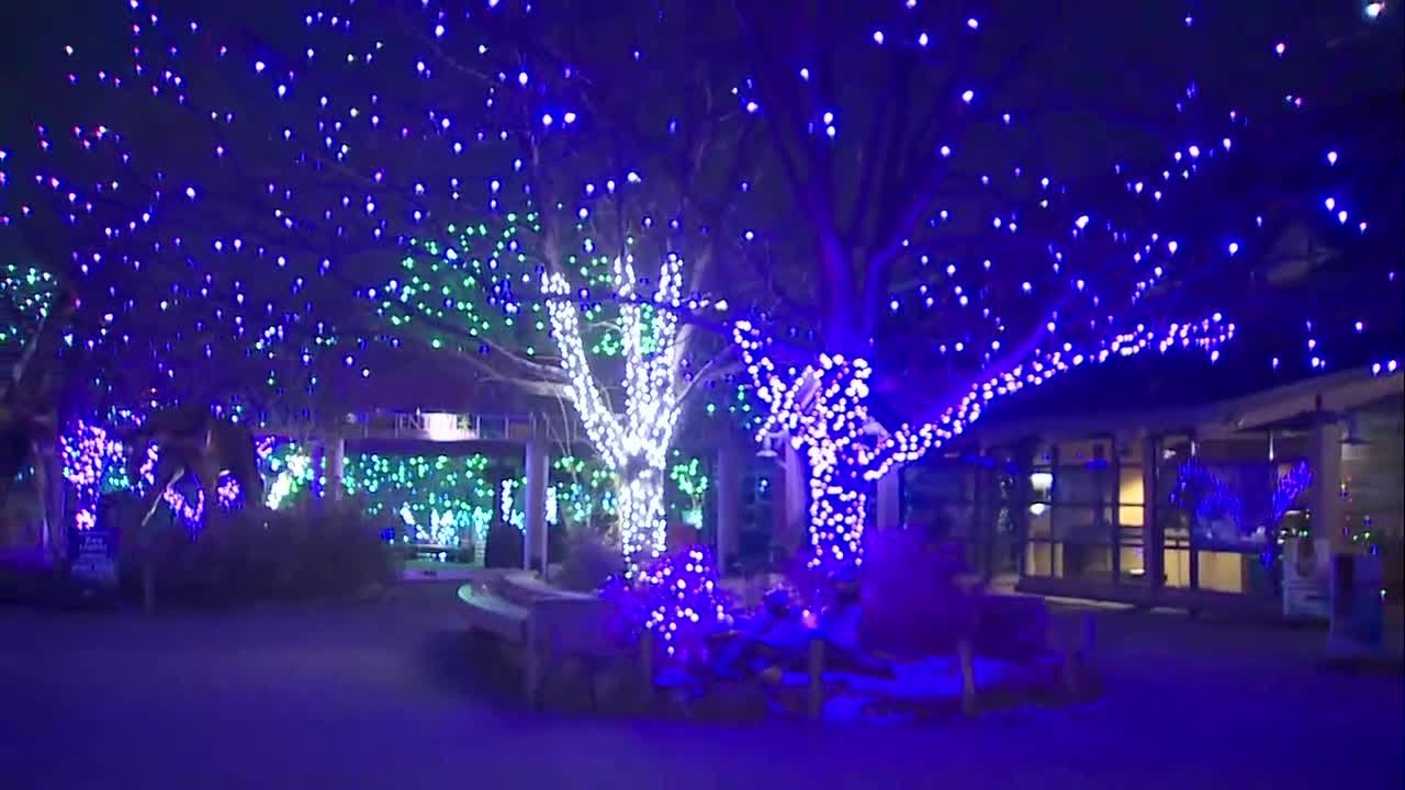Denver Zoo Lights opens to general public Saturday