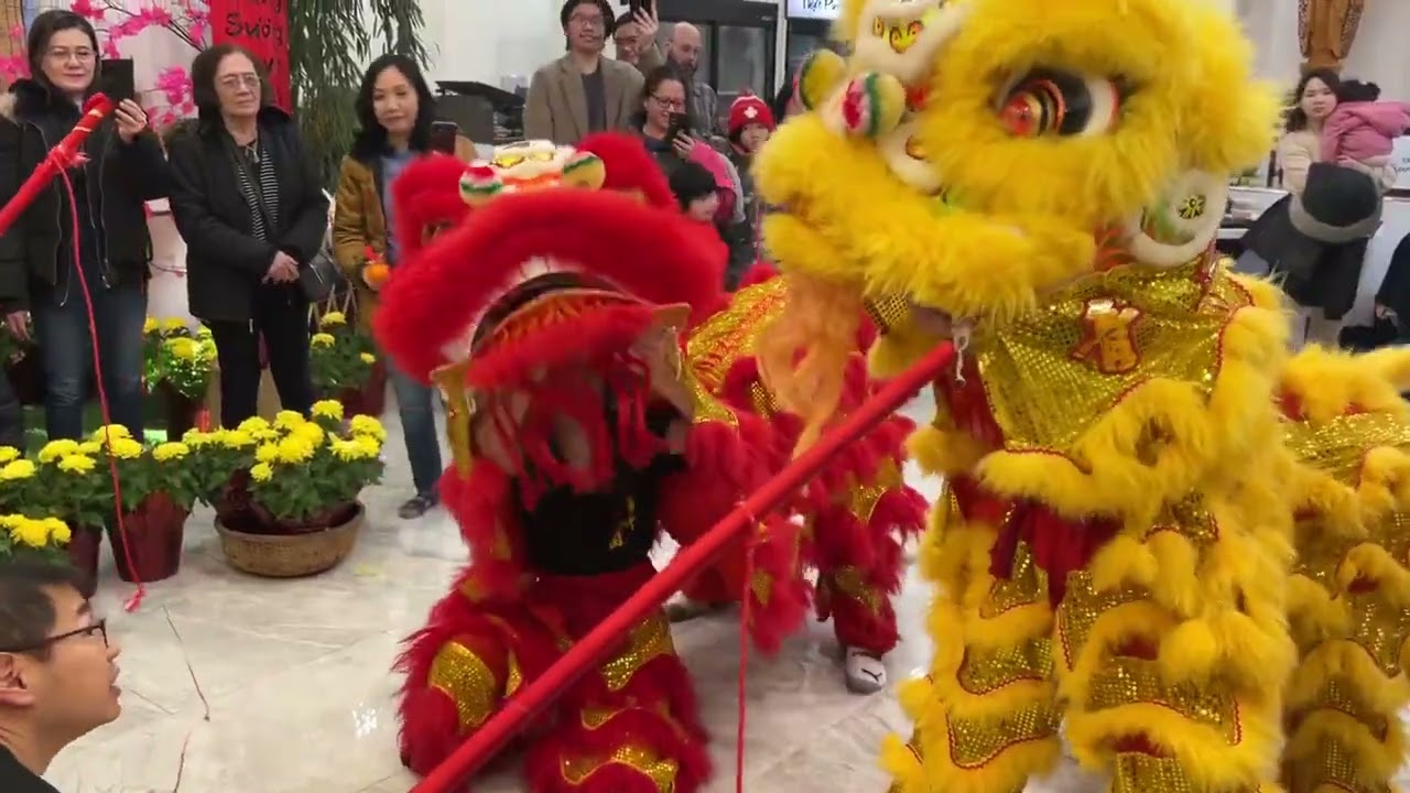 Montreal Youth LVH - Danse de lion du nouvel an lunaire 20240210