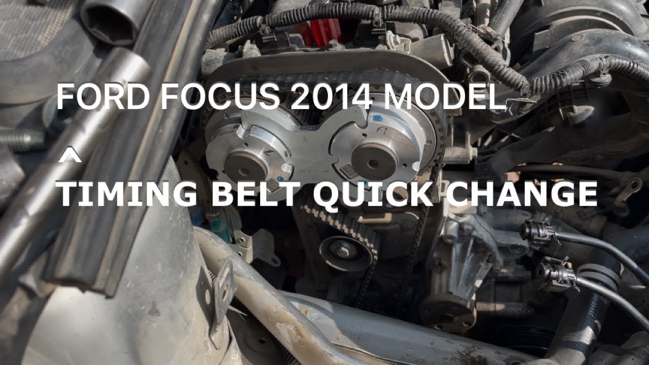 how to replace timing  belt.of ford focus 2014 model.