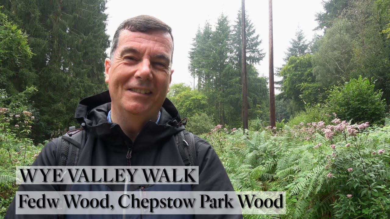 249: Fedw Wood, the Cot, Devauden and Chepstow Park Wood (Wye Valley 2024)