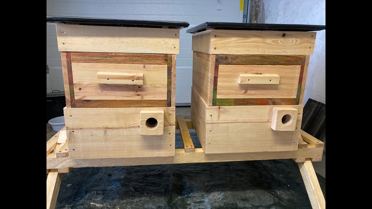 Folge 45 - 18.06.2020 - Vorbereitung auf die Totale Brutentnahme