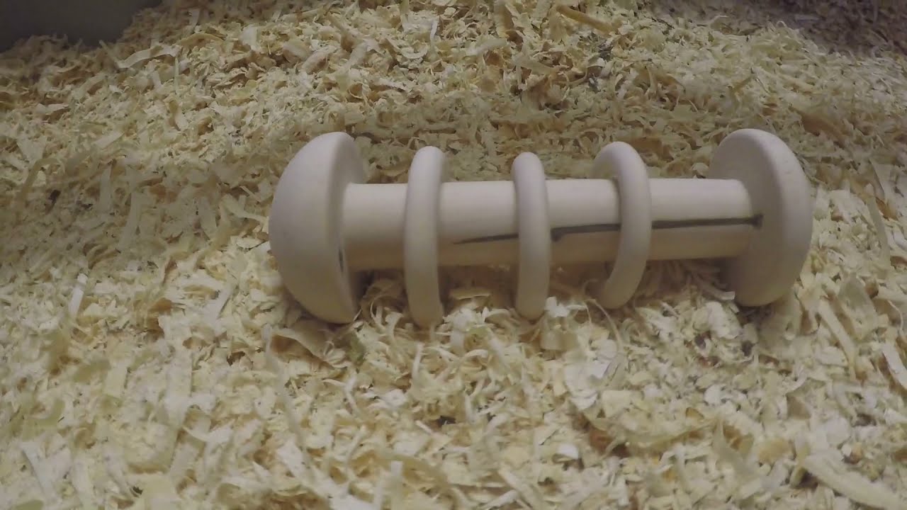 Wie drechselt man... ?  Babyrassel aus Bergahorn / #woodturning #drechseln / Al#about#things