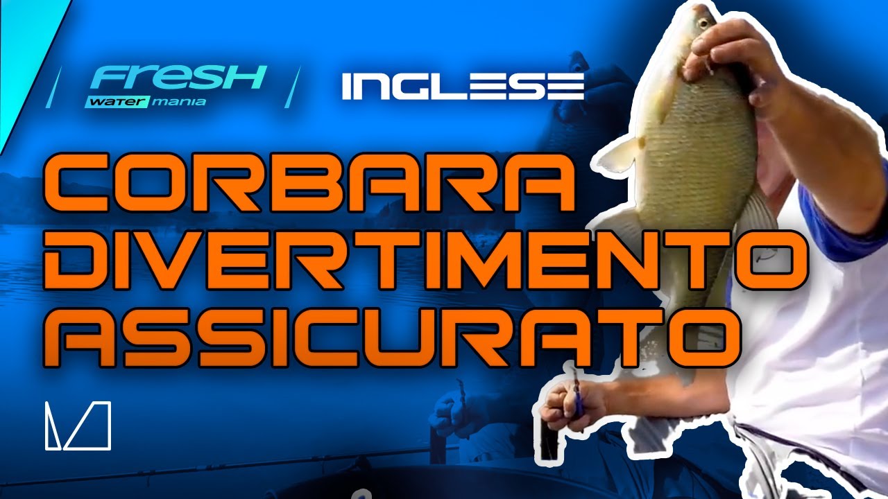 CORBARA - DIVERTIMENTO ASSICURATO