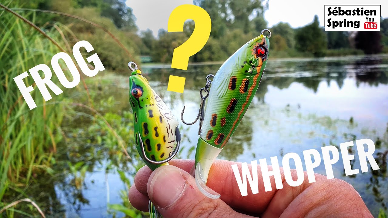 FROG ou WHOPPER PLOPPER, lequel choisir ?