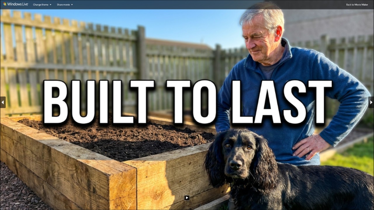 Building a raised bed using 'Tanalised' Landscape Sleepers. These bad boys are 'heavy duty' .