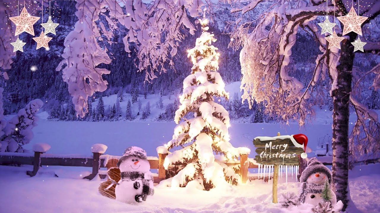 Cozy Christmas Tree🎄| 5 Minute Timer