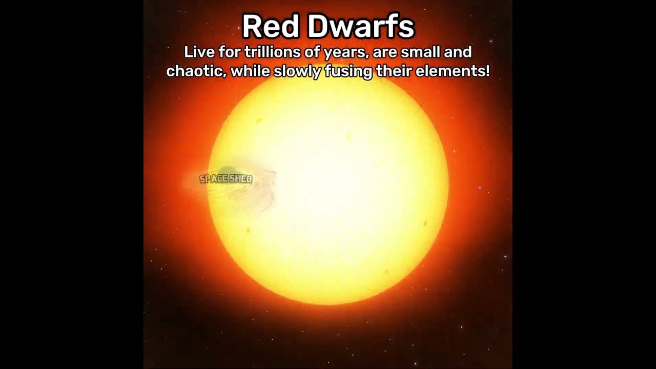 What are all the different stars? #spaceengine  #simulation #universe #space #astronomy #cosmos