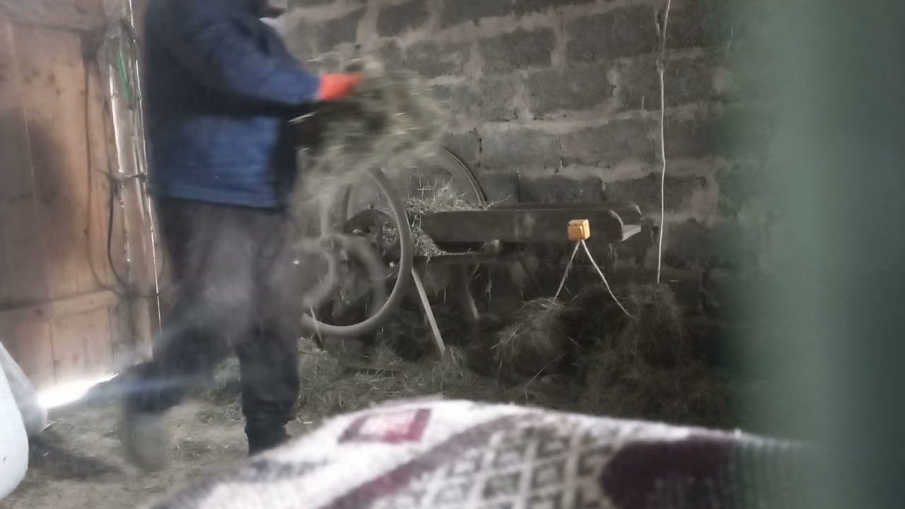 27 січня 2026 р.
